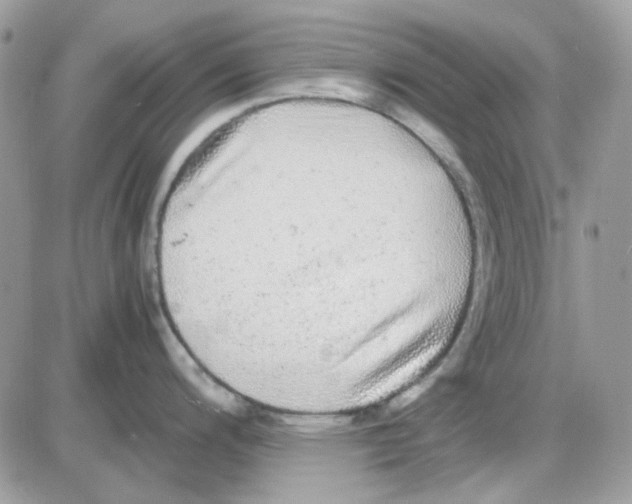 X0000085841200200704132055