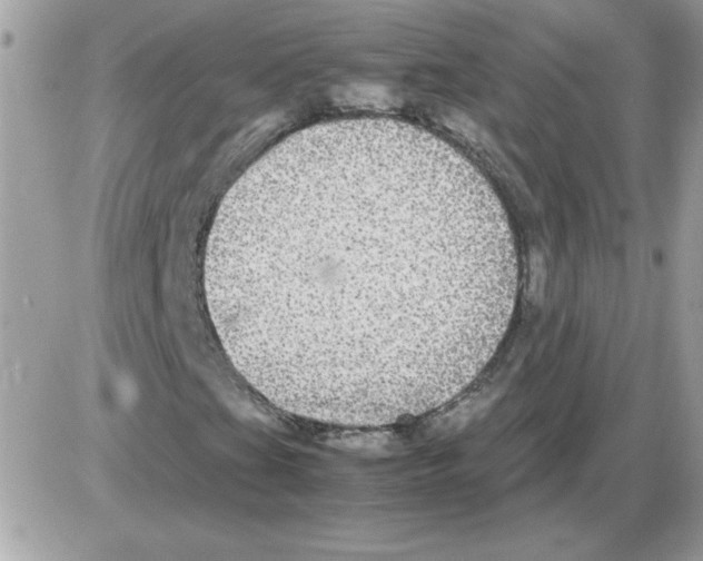 X0000085841201200704132054