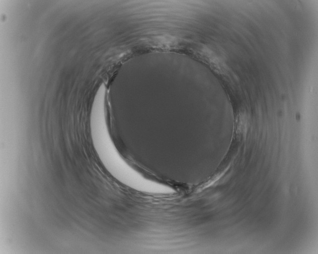 X0000085841202200704132054