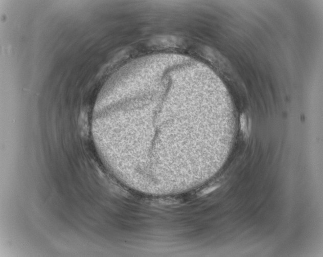 X0000085841203200704132054