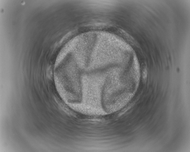 X0000085841204200704132054