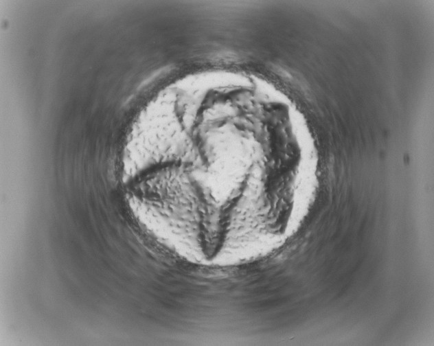 X0000085841205200704132054