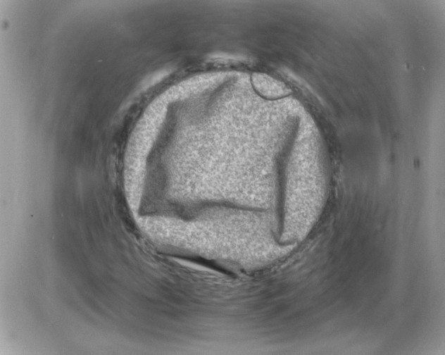 X0000085841207200704132054