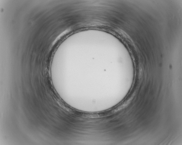 X0000085841210200704132054