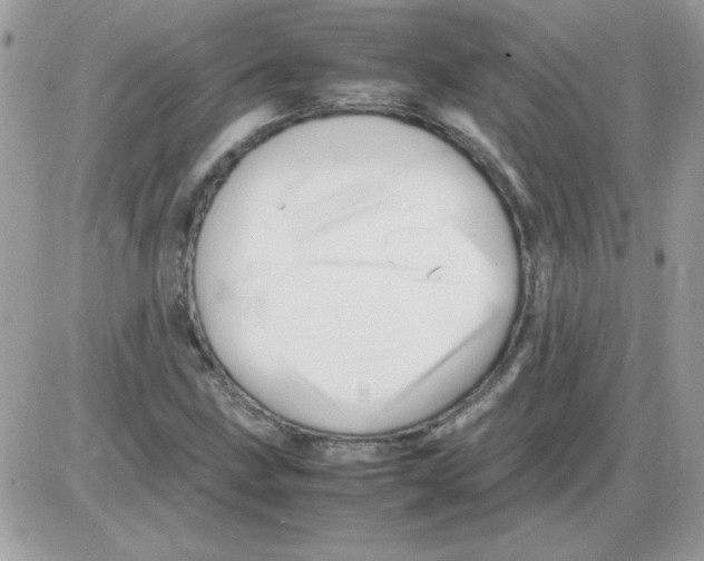 X0000085841211200704132054