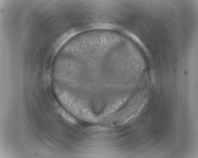 X0000085841212200704132054