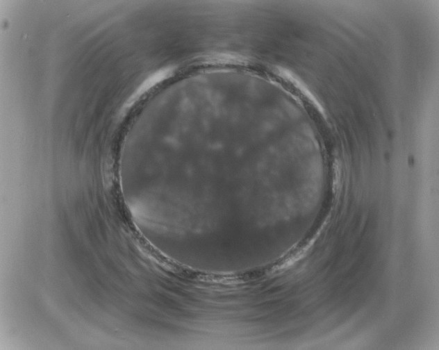 X0000085841213200704132054