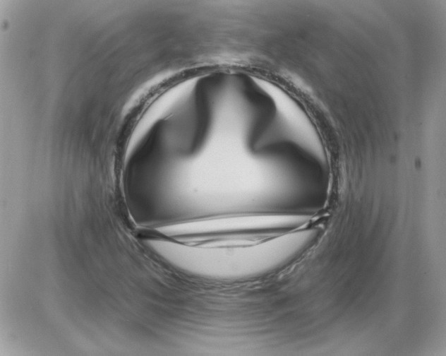 X0000085841214200704132054