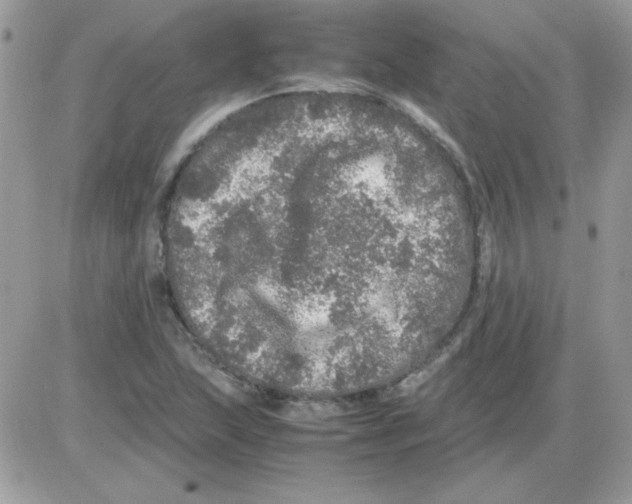 X0000085841215200704132054