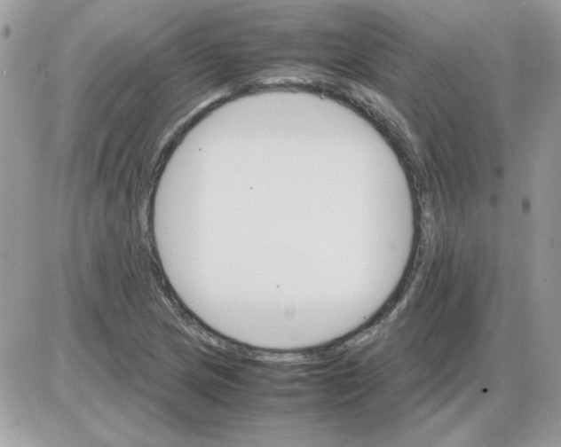 X0000085841217200704132054