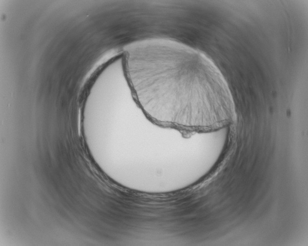 X0000085841219200704132055