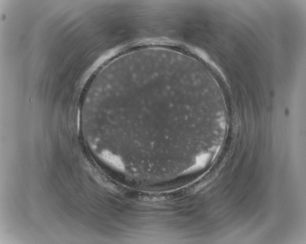 X0000085841221200704132055