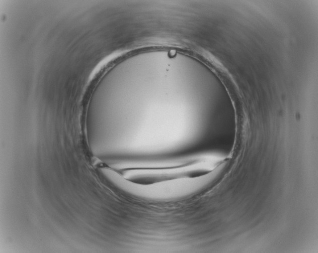 X0000085841222200704132055