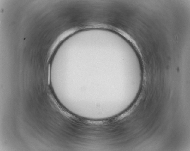 X0000085841223200704132055