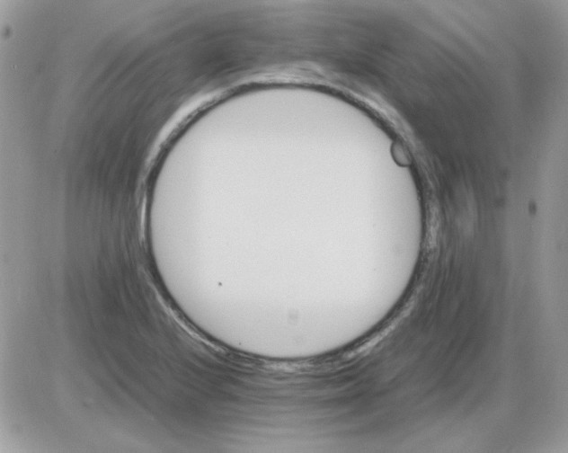 X0000085841224200704132055