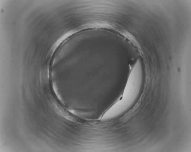 X0000085841226200704132055