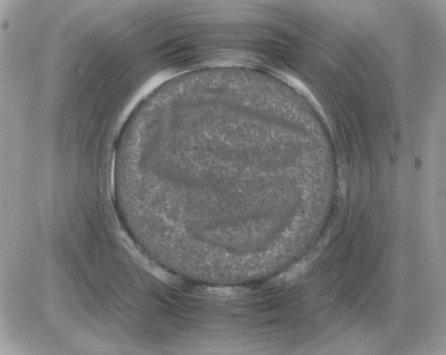 X0000085841227200704132055