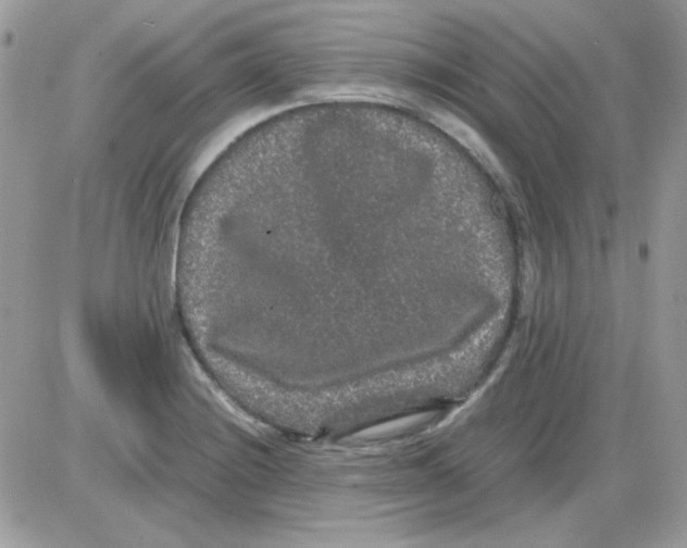 X0000085841228200704132055