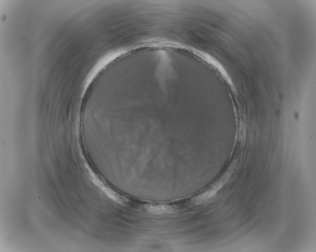 X0000085841231200704132055