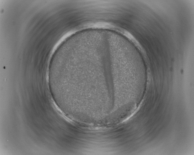 X0000085841232200704132055