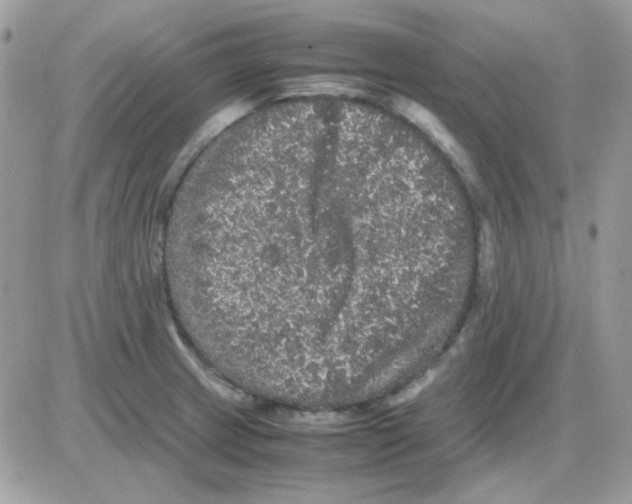 X0000085841233200704132055