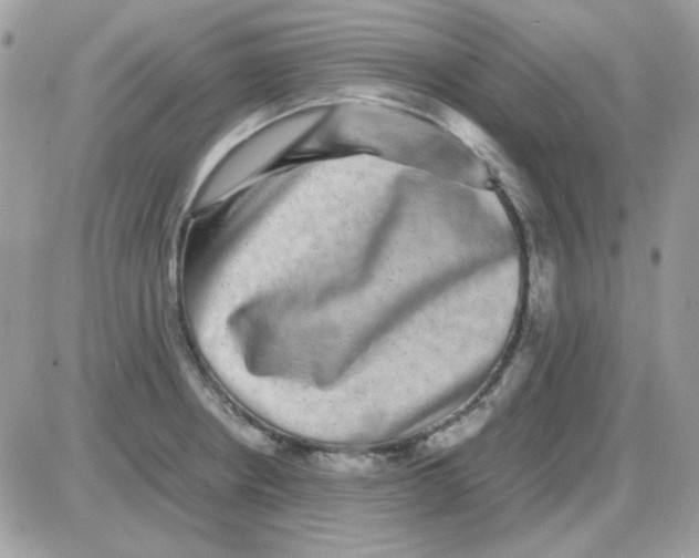 X0000085841234200704132055