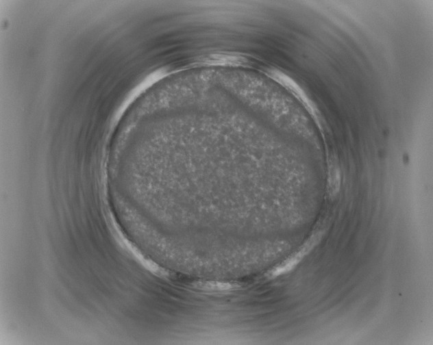 X0000085841235200704132055