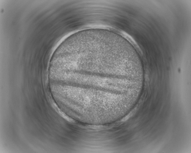 X0000085841236200704132055