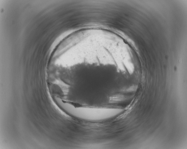 X0000085841239200704132055