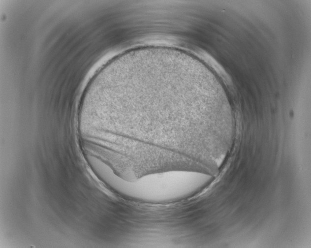 X0000085841240200704132055