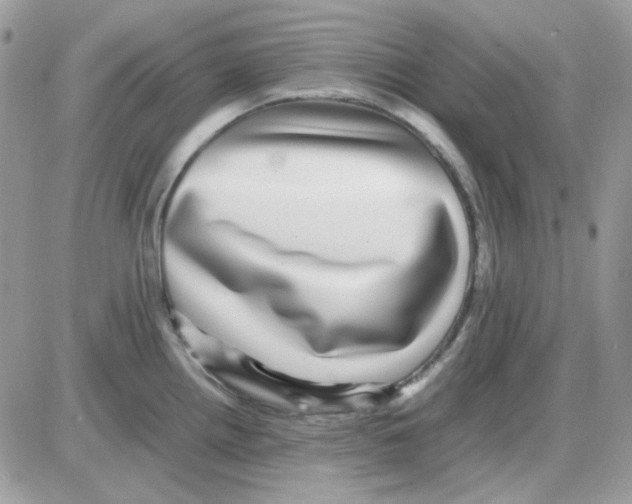 X0000085841242200704132055