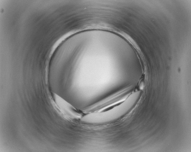 X0000085841246200704132055