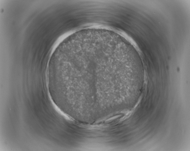 X0000085841247200704132055