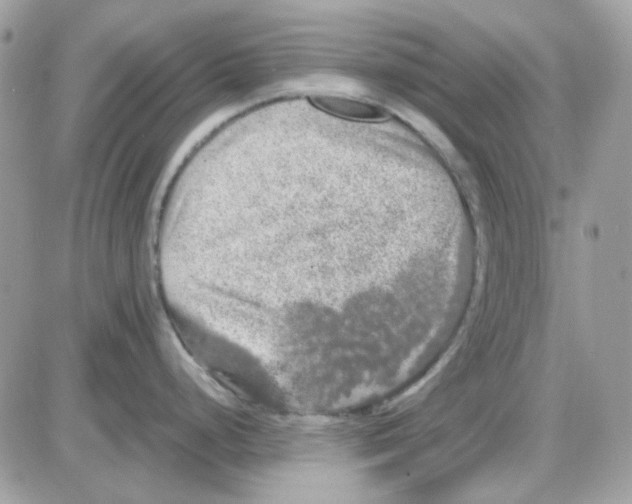 X0000085841248200704132055