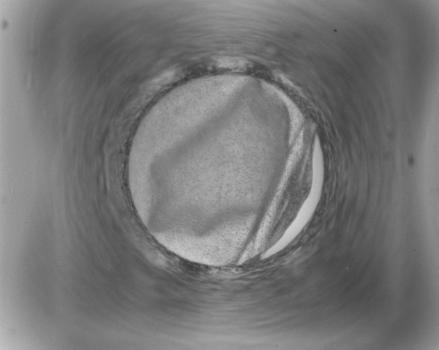 X0000085841249200704132054