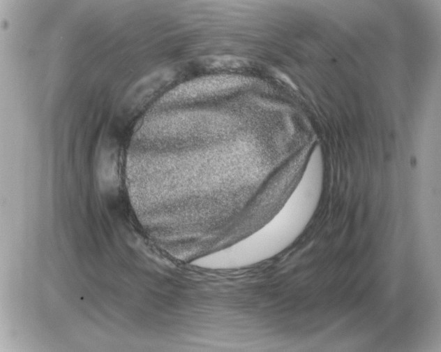 X0000085841250200704132054