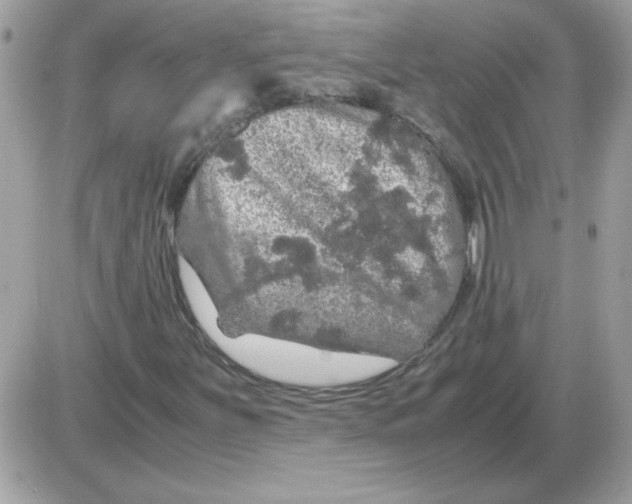 X0000085841251200704132054