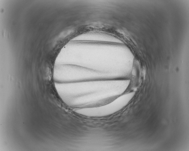 X0000085841253200704132054