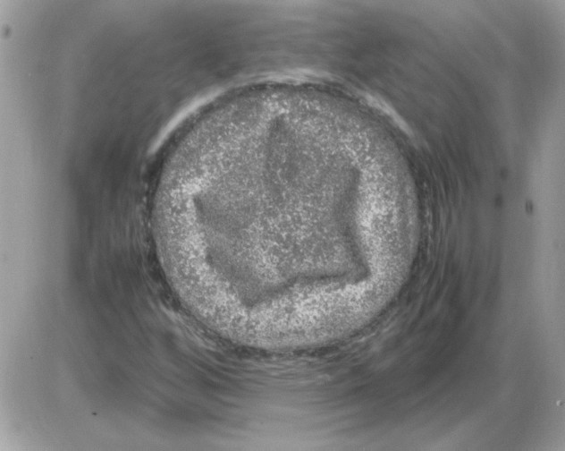 X0000085841256200704132054