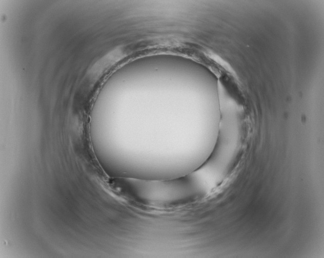 X0000085841257200704132054