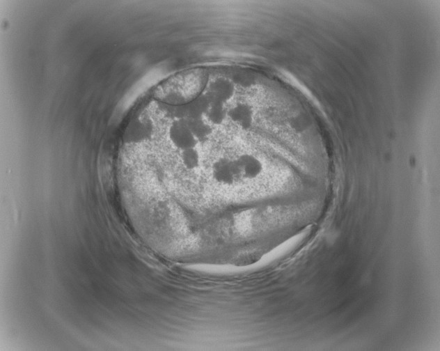 X0000085841259200704132054