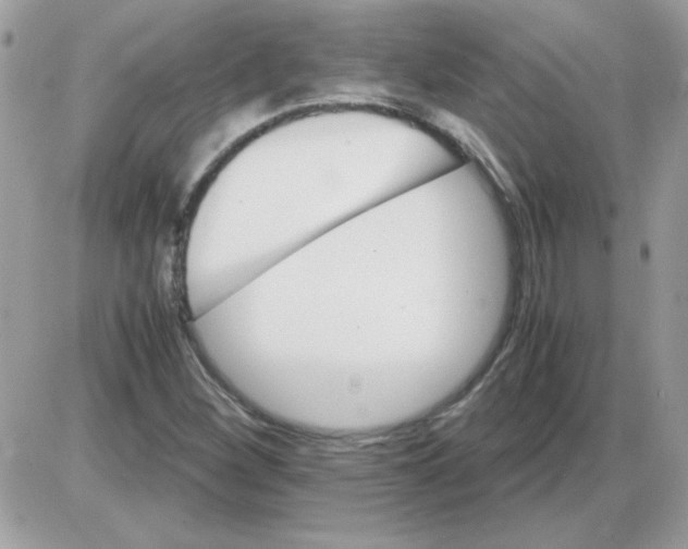 X0000085841260200704132054