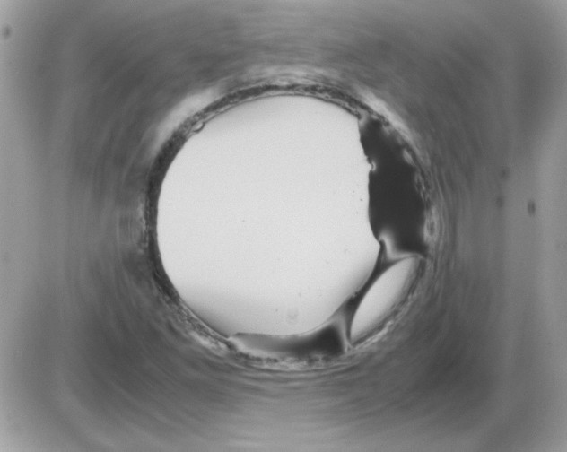 X0000085841261200704132054