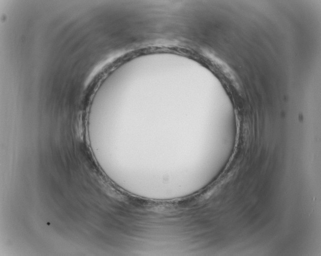 X0000085841262200704132054