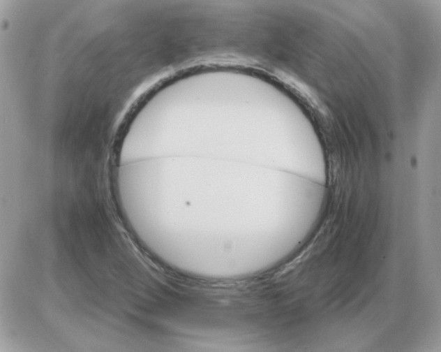 X0000085841264200704132054