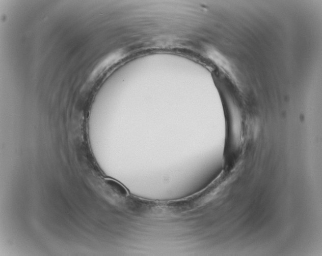 X0000085841265200704132054