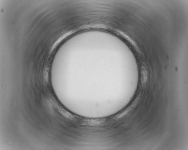 X0000085841266200704132054