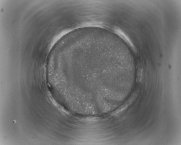 X0000085841268200704132054