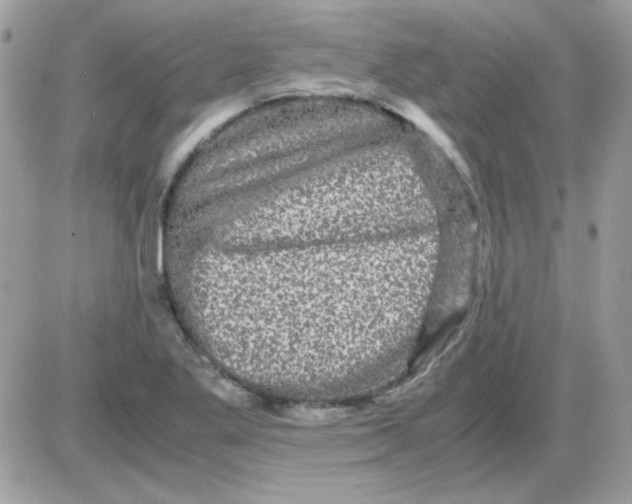 X0000085841269200704132054