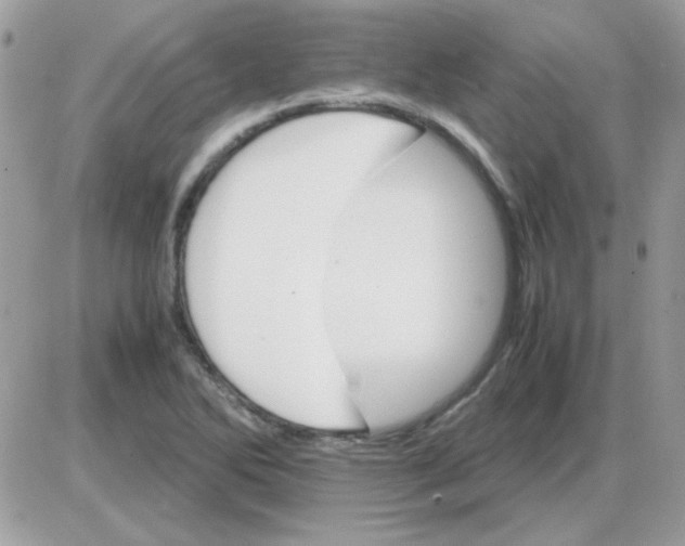 X0000085841270200704132054